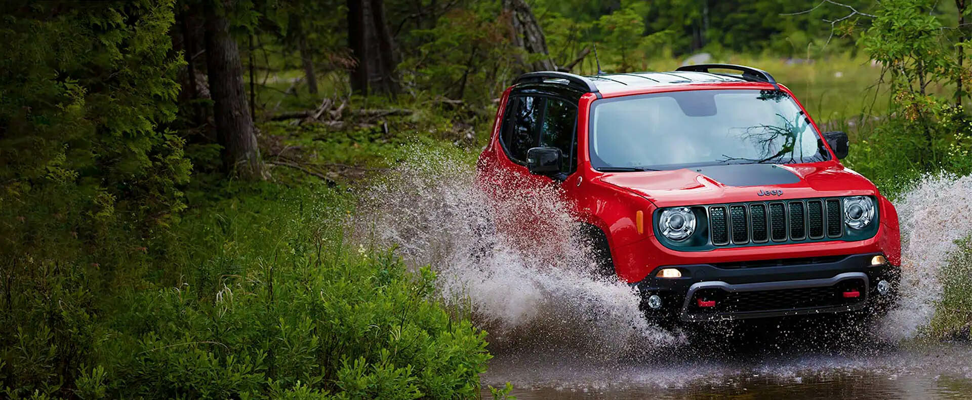 Case Study - International Autosource - OpenMoves - Digital Marketing Agency NY