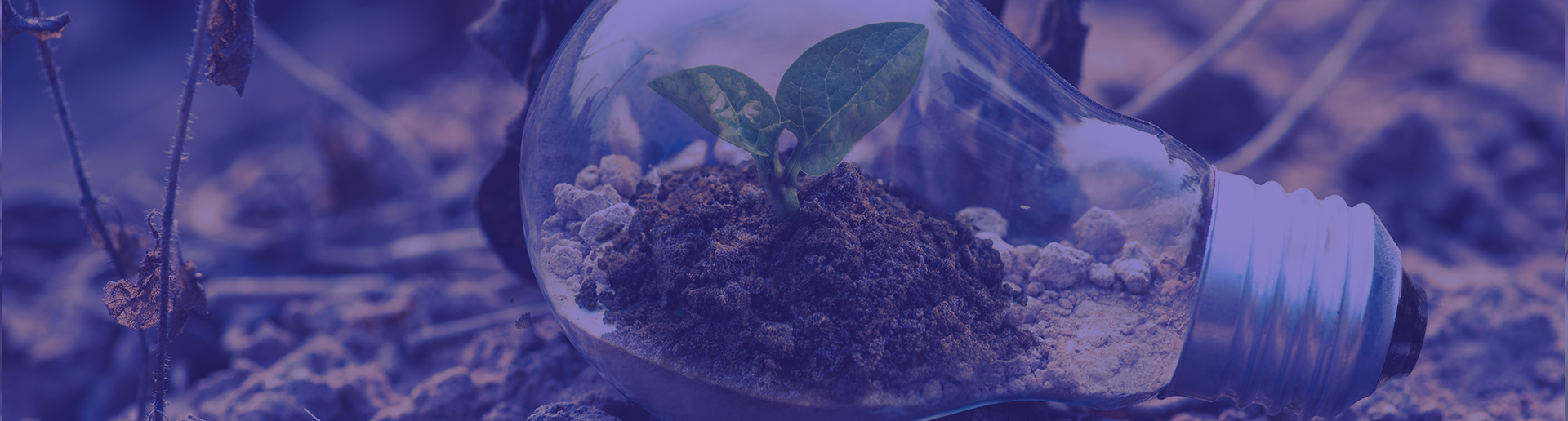 Growth Through Influencer Marketing: The Why and How for 2021