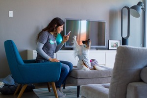 Mad Paws Uses Email Marketing to Strengthen Its Petcare Community