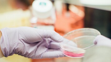 Innovation Looks a Lot More Like Science Than It Does Art