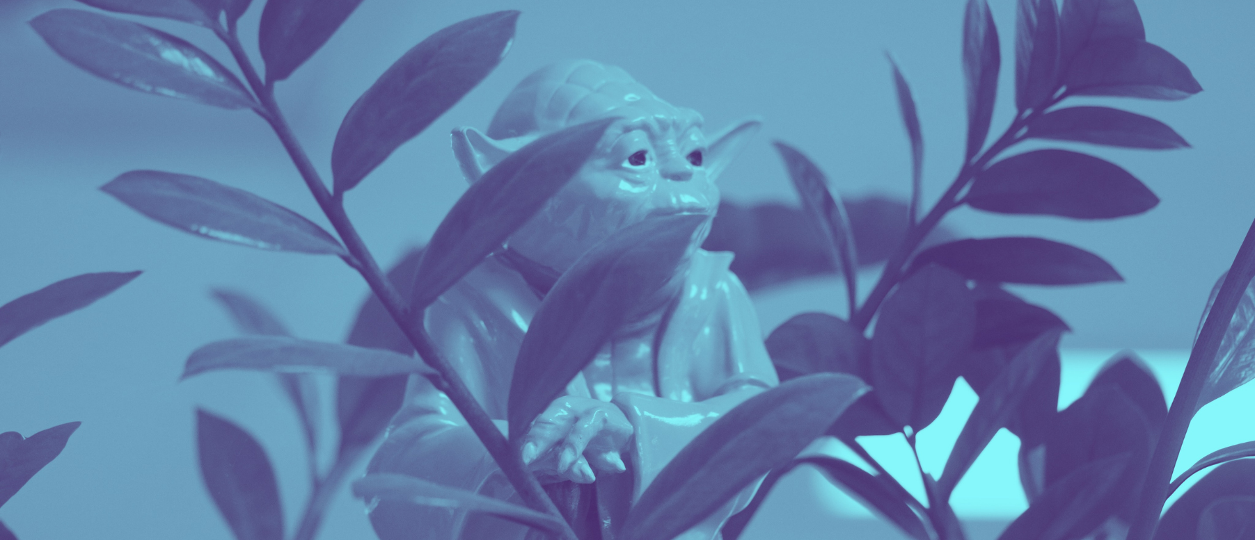 How to Find the Right Sales Mentor in 2021