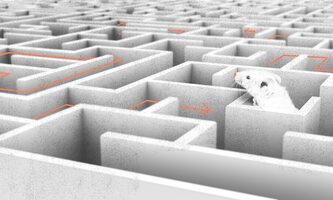 A/B Testing – Should the "Winner Take It All"?