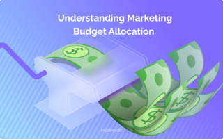 Precision in Planning: Strategies For Marketing Budget Allocation