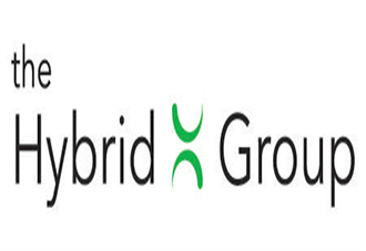 The Hybrid Group