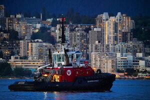 Introducing The Forrester Corporate Climate Change Disclosure Template