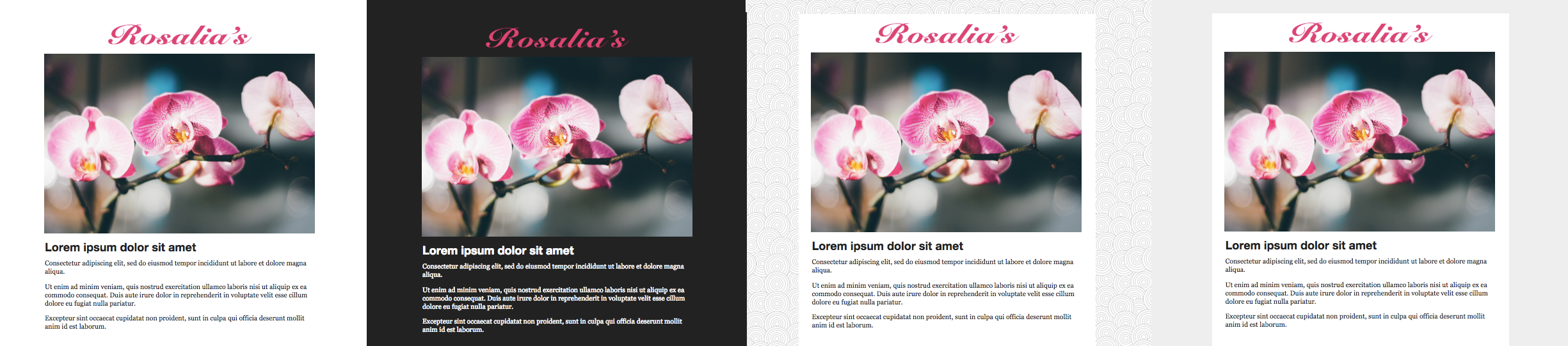 The Basics of Email Template Layout
