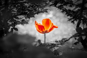 Buyer Enablement: Can You Change a B2B Buyer's Mind With Counterfactuals?