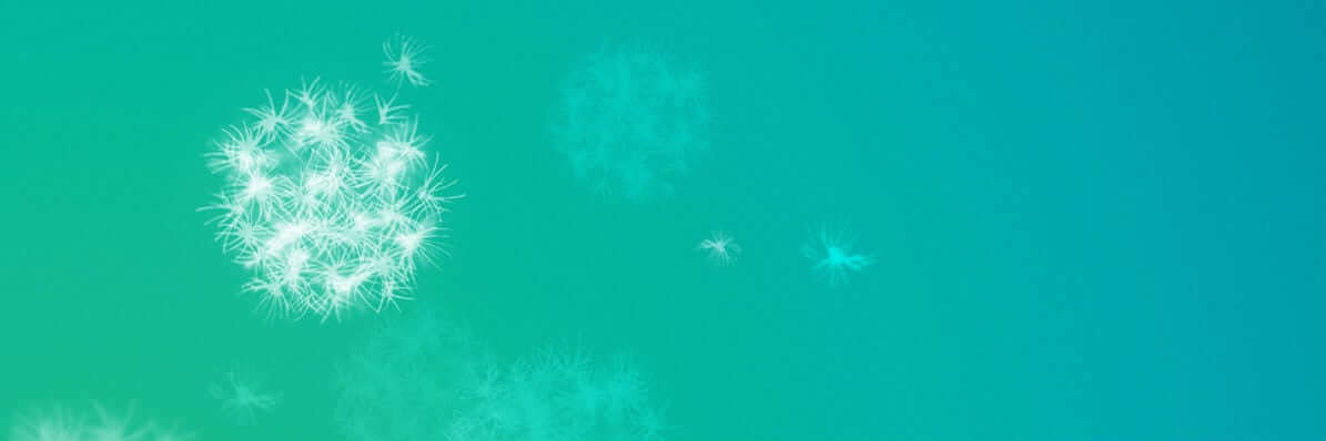 Thought Leadership Through Curation | Nimble Blog