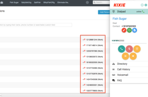 List-View Dialing in Capsule