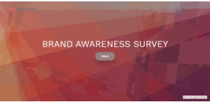 Survey vs Questionnaire: Difference and Examples