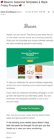 Beacon Black Friday Preview Email - Swipe File