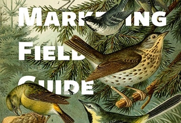 Email Marketing Guide for Successful Campaigns