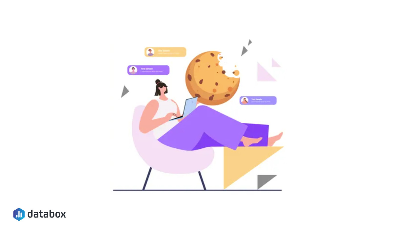 How to Maximize Your Paid Advertising ROI in a World Without Cookies | Databox Blog