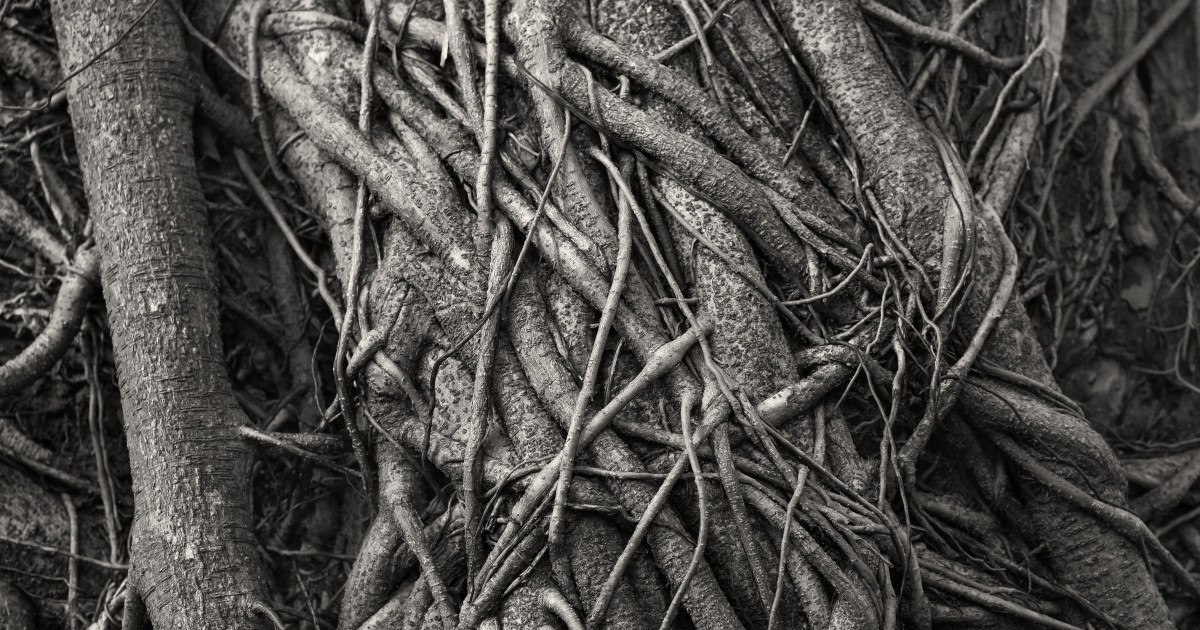 The CallMiner Research Lab Responsible AI Framework