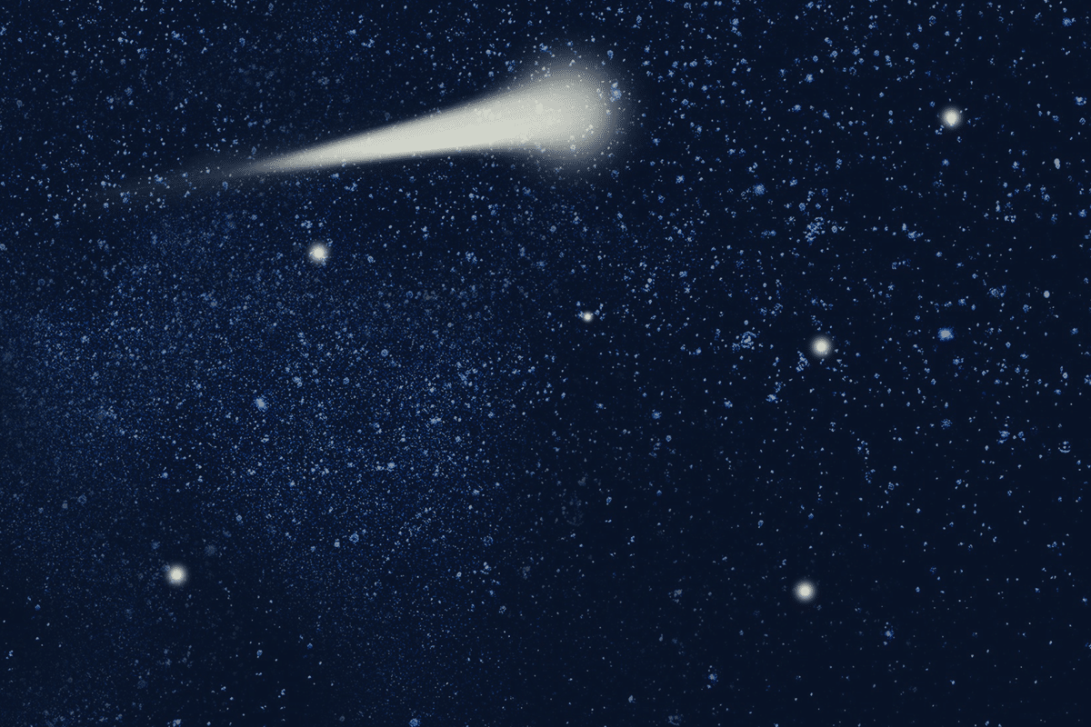 2020 Success: Shaped By Stellar Product Content