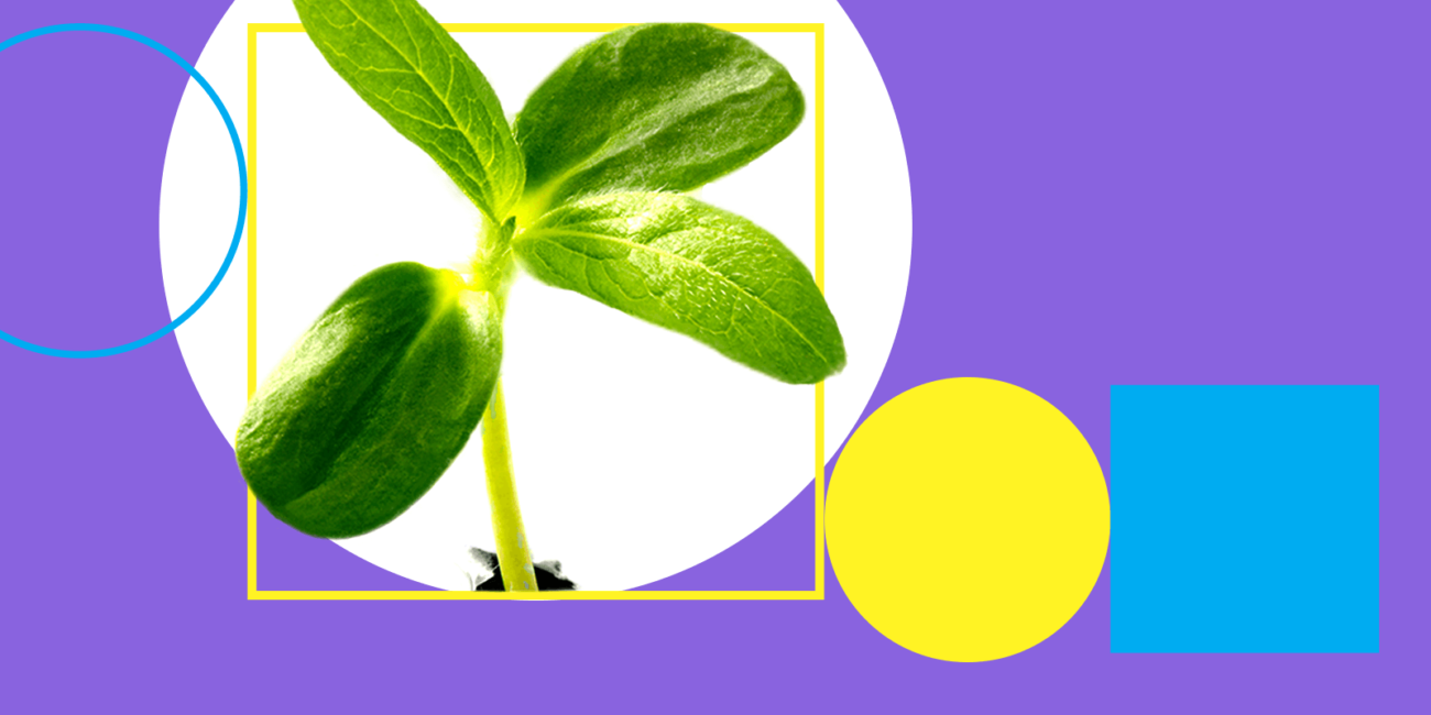 The Best Marketing Conferences, Blogs and Webinars to Help You Grow in 2019