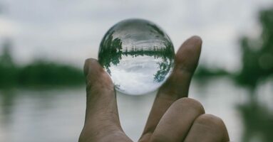 Why Transparency Matters and How Not To Be Afraid Of It