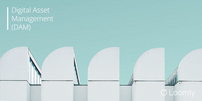 Digital Asset Management (DAM): The Definitive Guide | Loomly Blog