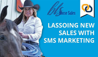 How a Renowned Horse Auction Lassos Sales with SMS Marketing