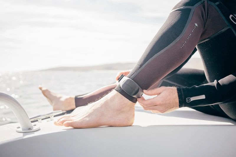 How Sharkbanz Utilized FreightBob to Save Their 2021 Black Friday Cyber Monday Sales