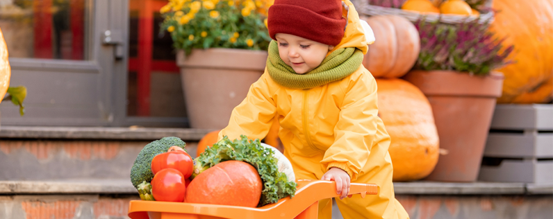 9 Thanksgiving Giveaway Ideas