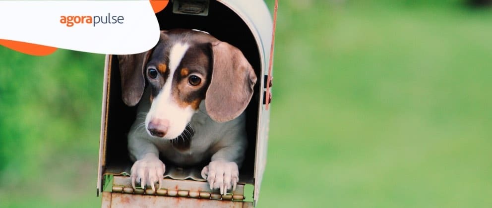 20 Social Media Post Types That Perform Well (and How to Use Them)