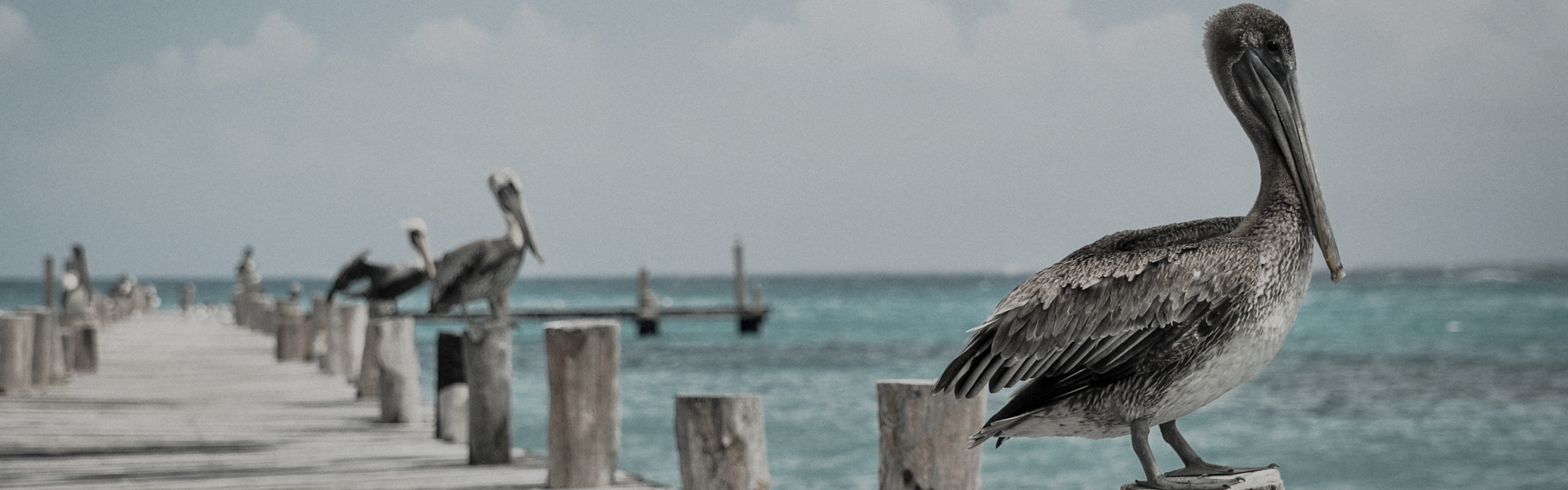 20 Email Marketing Statistics to Prove Email Relevance