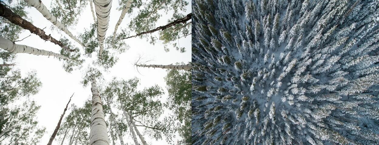 The other side | Inside Intercom