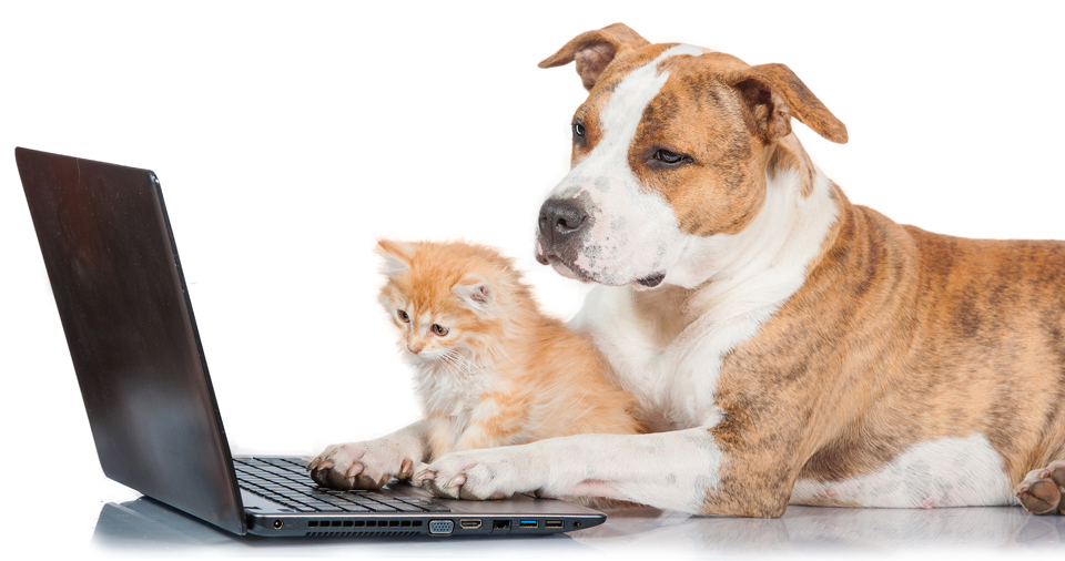 Inbound and Outbound Sales - Can't we all get along?