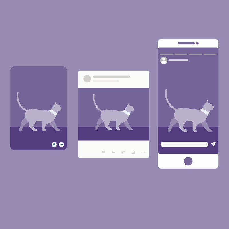 Social Media Image Sizes for Every Network [2022 CHEAT SHEET]