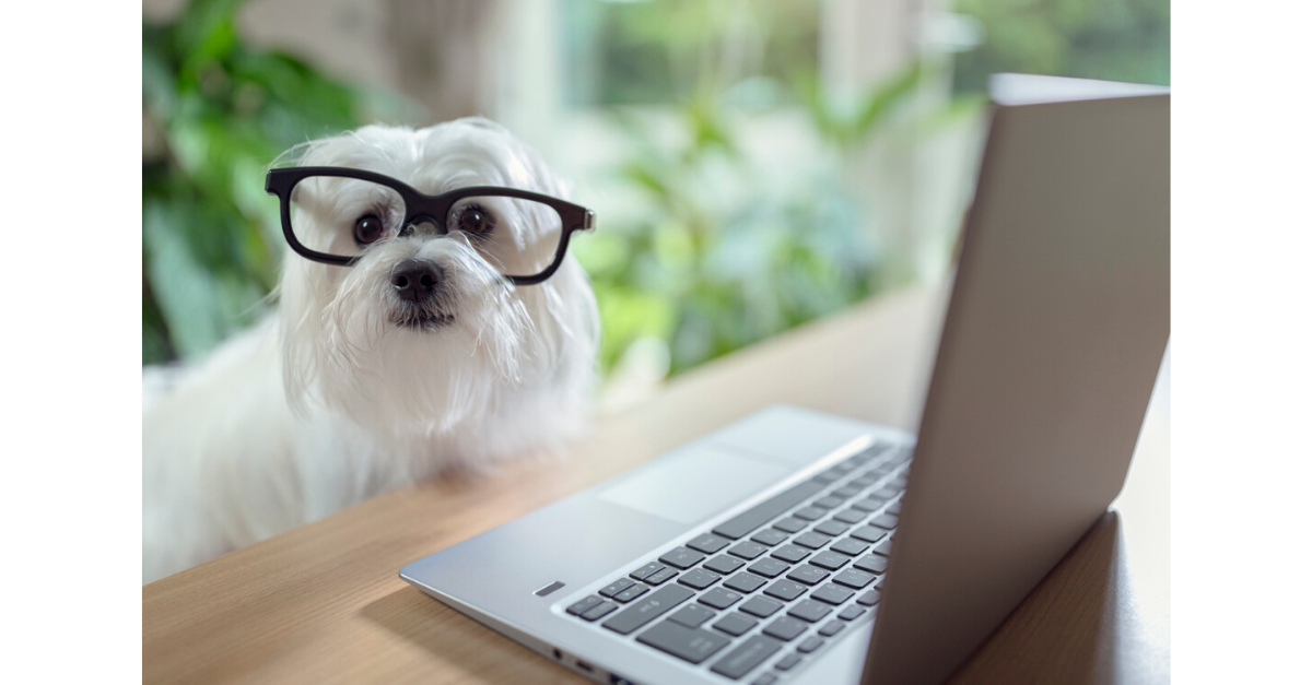 Using Lytics to send your customers the content they want