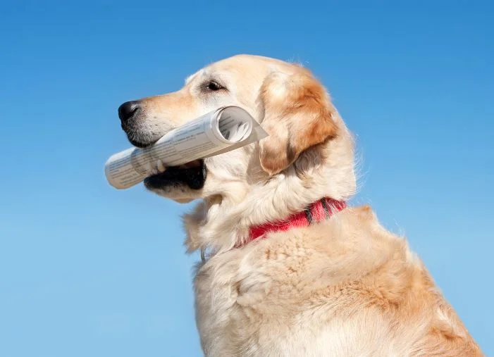 17 Content Distribution Strategies to Try in 2024