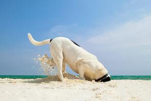 19 Best Sales Prospecting Tools and Software