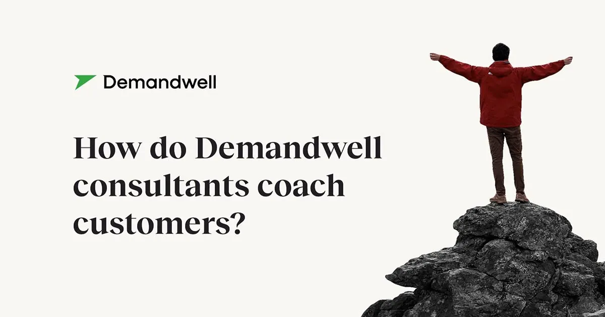How Does Demandwell Coach Customers?