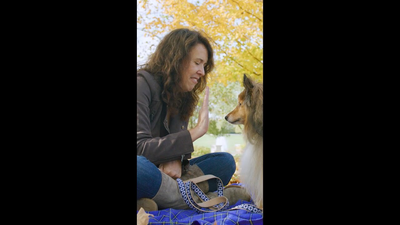 How Thryv Helps PetImpact!