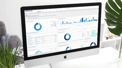 Risk Management Strategies: The CEO's New Imperative