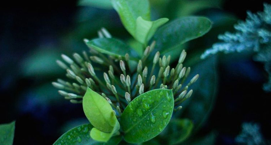 4 Simple Steps To Create a Successful Lead Nurturing Campaign