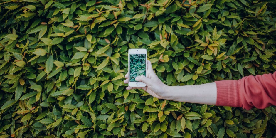 20 Creative Instagram Story Ideas to Engage Your Followers