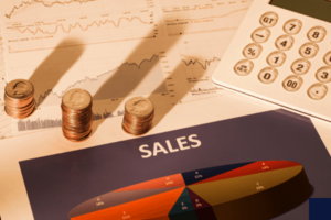 Maximizing the Value of Your Sales Data