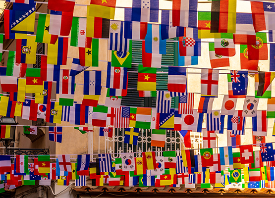 Middle East's largest legal consultant, DM Immigration, used WotNot to generate 60K+ leads