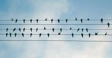 What Do the New Twitter Rules Mean to Social Media Managers (and Buffer Customers)