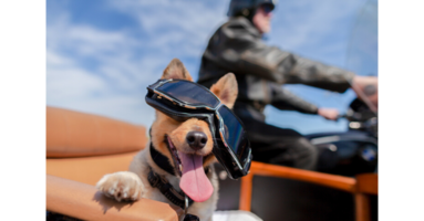 How machine learning guides your marketing campaigns