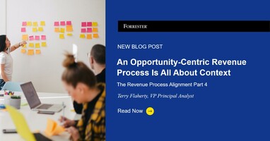 The Revenue Process Alignment Series, Part 4: An Opportunity-Centric Revenue Process Is All About Context