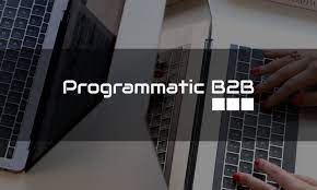 Programmatic B2B Case Study