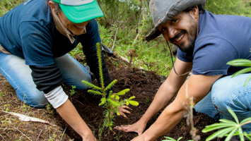 How UpLink Powers a Sustainable Future with Salesforce as a Key Catalyst
