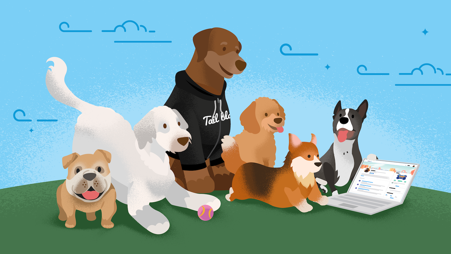Introducing Tailhead, the free online learning platform for dogs.