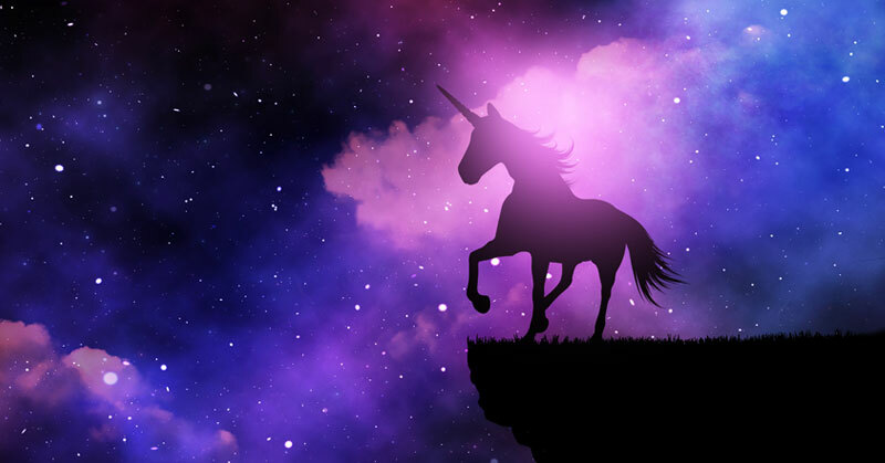 Stop Chasing Unicorns! Improve Employee Performance and Hiring Success With These Ideas