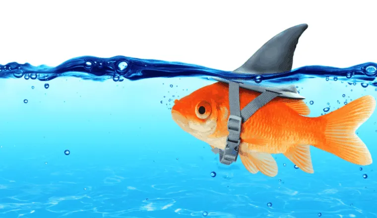 New Byline: 5 Ways Retailers Can Create Their Own Amazon Effect and Kickstart Their eCommerce