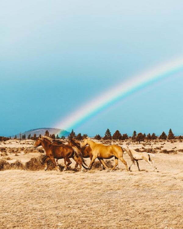 4 Super-Smart Keyword Research Ideas that Boost SEO