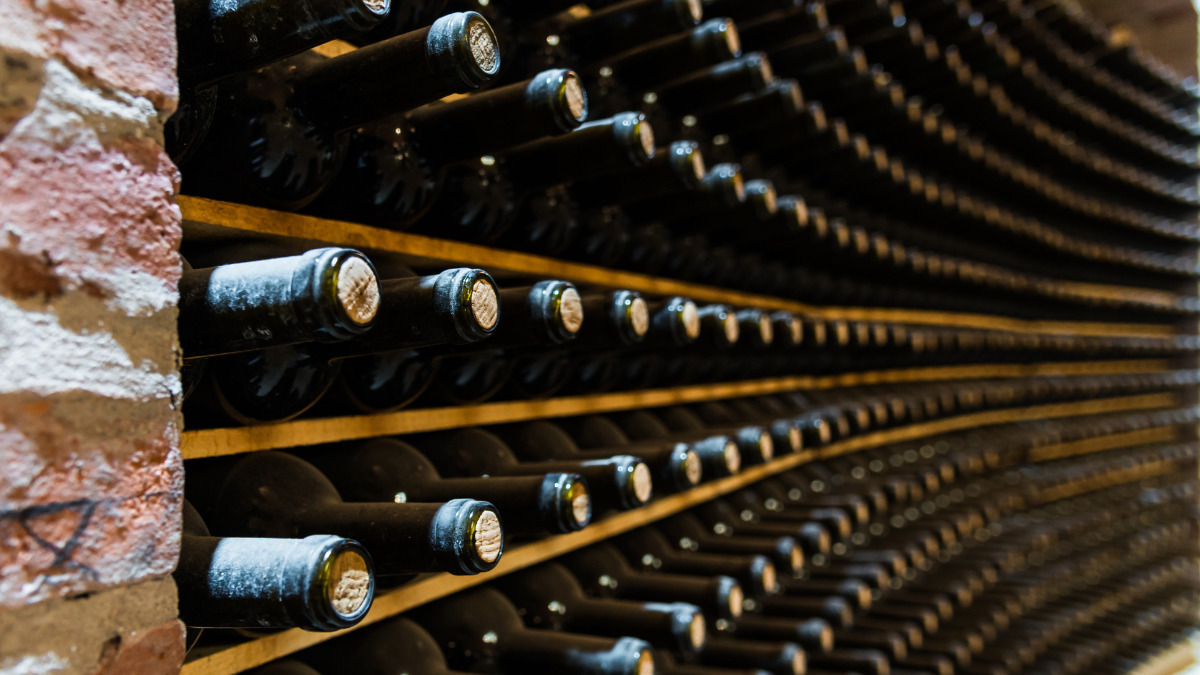 The real benefits of implementing a loyalty program - dotdigital blog